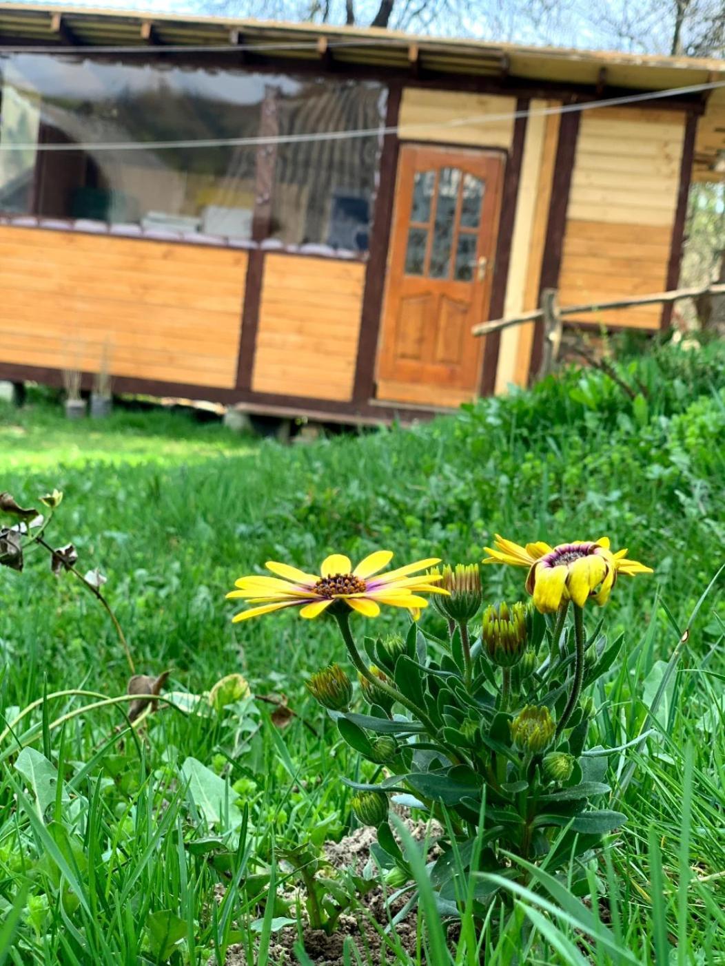Holiday home Smerekova Hata *