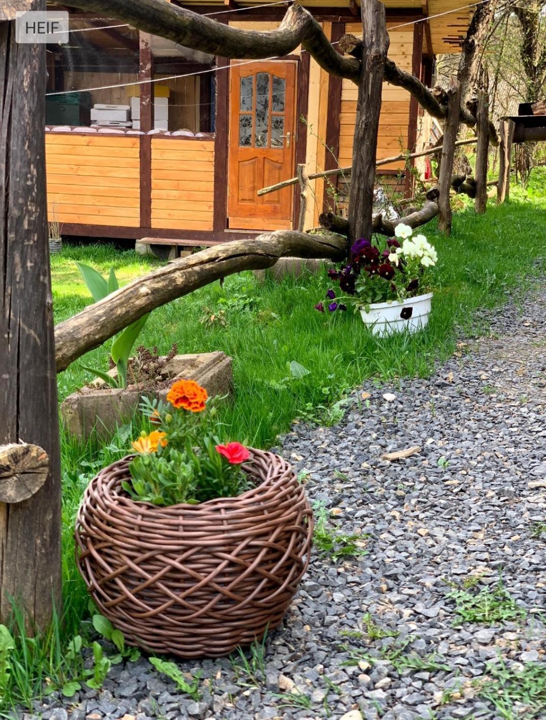 Smerekova Hata Holiday home Oryavchyk